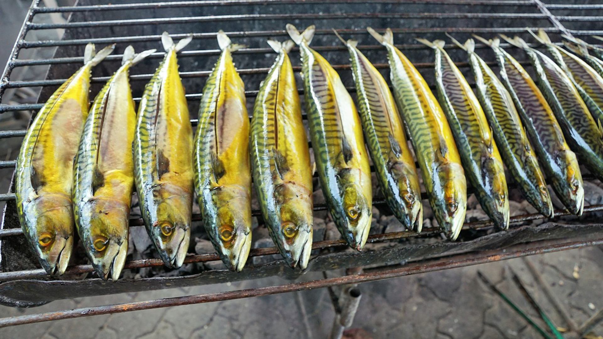 7 ปลาไทยที่มีโอเมก้าสูงดีต่อสุขภาพ