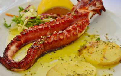 fish-2736523_1920