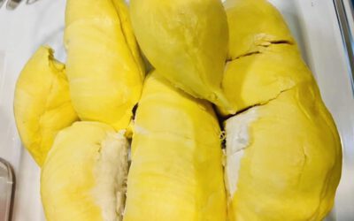 เป็นเบาหวาน – ความดันสูง กินทุเรียน ได้มั๊ย ?