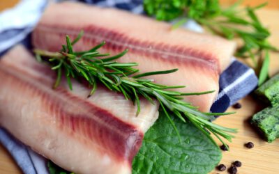 กินปลาอะไรดีที่สุด ควรเลือกปลาทะเลหรือปลาน้ำจืดดีกว่ากัน