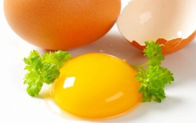 ไขคำตอบกินไข่แดงเยอะไม่ดีต่อร่างกายจริงหรือไม่z-z1384288475005