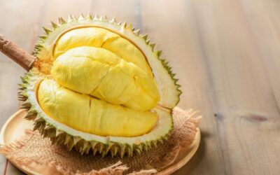 Durian-04