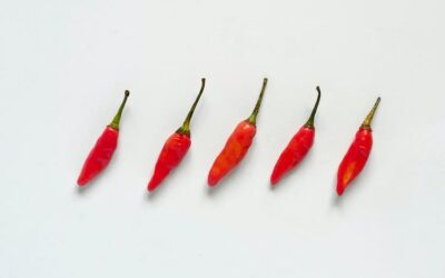 ประโยชน์ของพริกขี้หนู