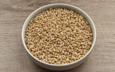 ประโยชน์ของข้าวบาร์เลย์