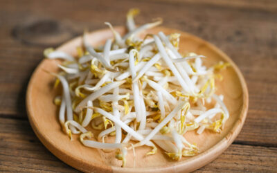 ประโยชน์ของถั่วงอก